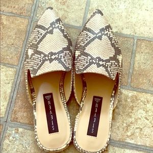 This is a pair of pointed toe shoes